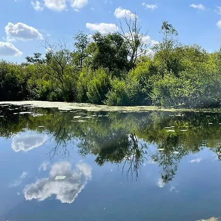 Joli Dans La Somme *