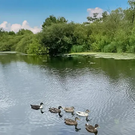 Joli Dans La Somme * Hem-Monacu