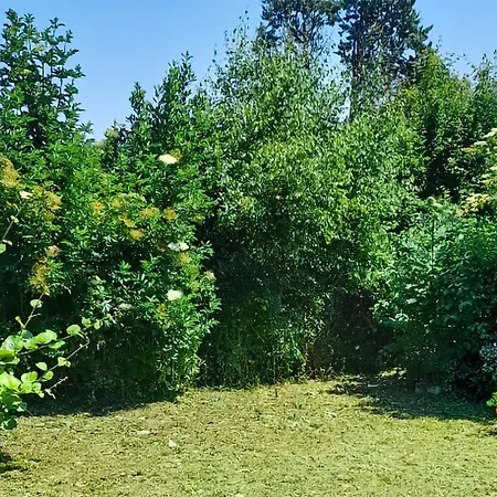 Joli Dans La Somme * Hem-Monacu